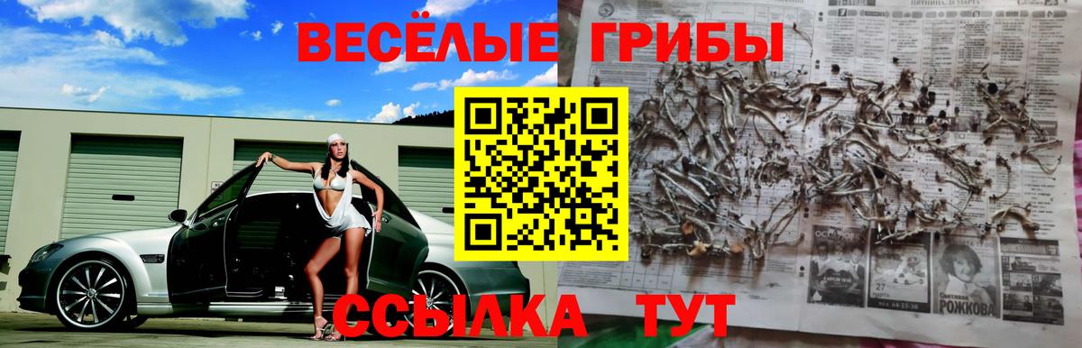 Галлюциногенные грибы Psilocybine cubensis  Вход с VPN  Псилоцибиновые грибы мухоморы  Анапа 